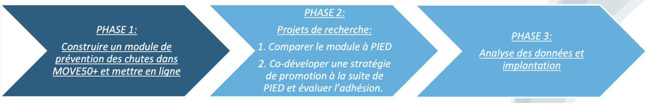 Chronologie du projet Move En Équilibre Move 50+ du LIPPA