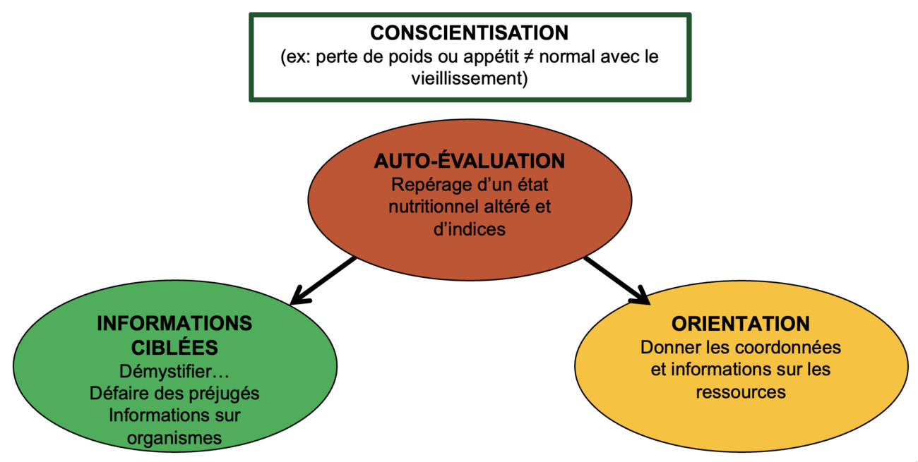 Schéma explicatif du portail REPAS.info - LIPPA